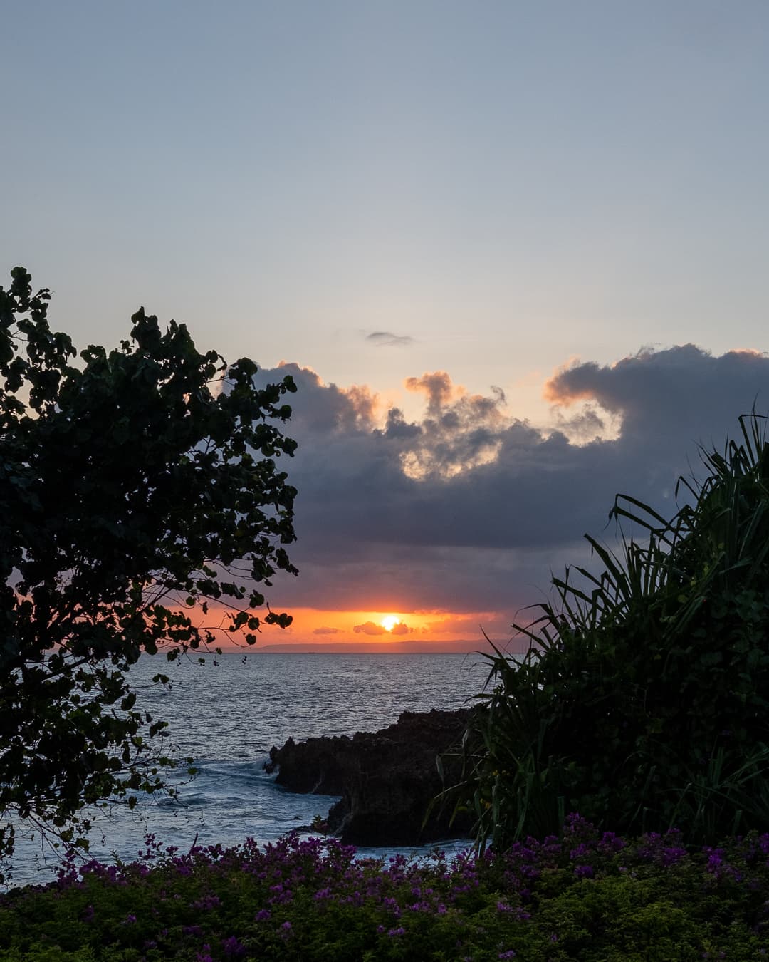 Cover Image for A Week in Bali: A Journey Through Moments, Encounters, and Reflections